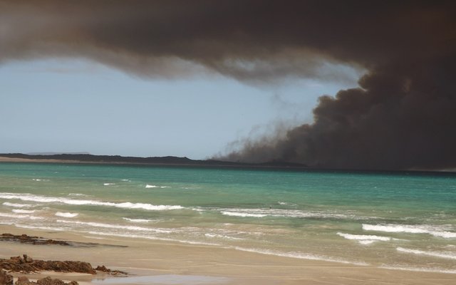 (Foto's: Monica Hayes)